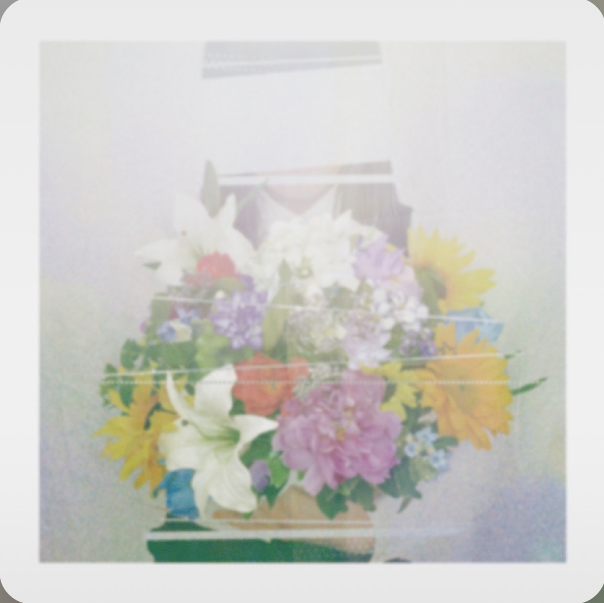 Say It. (言って。)